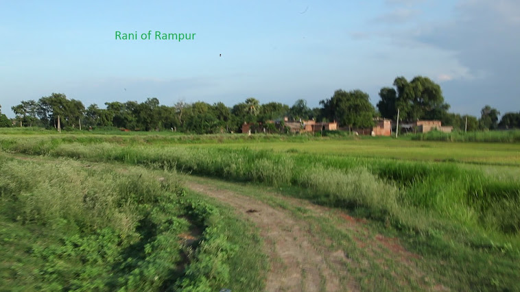 Rampur