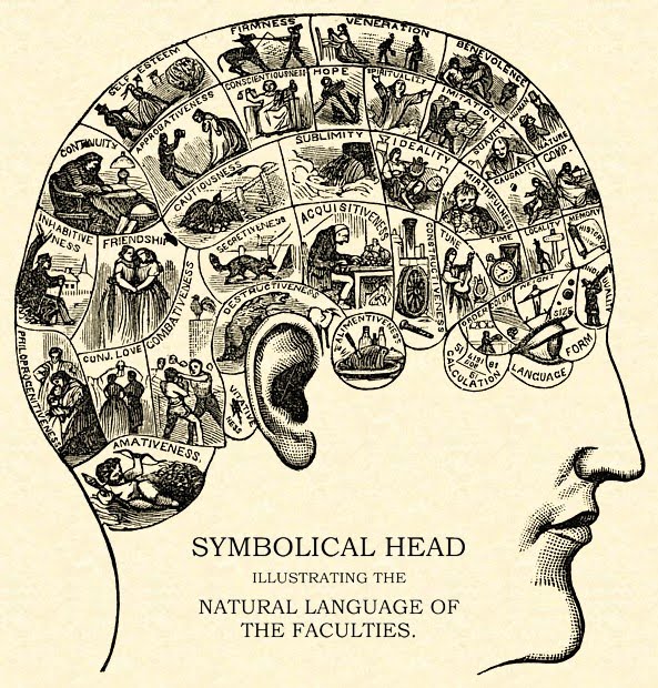 brain labyrinth