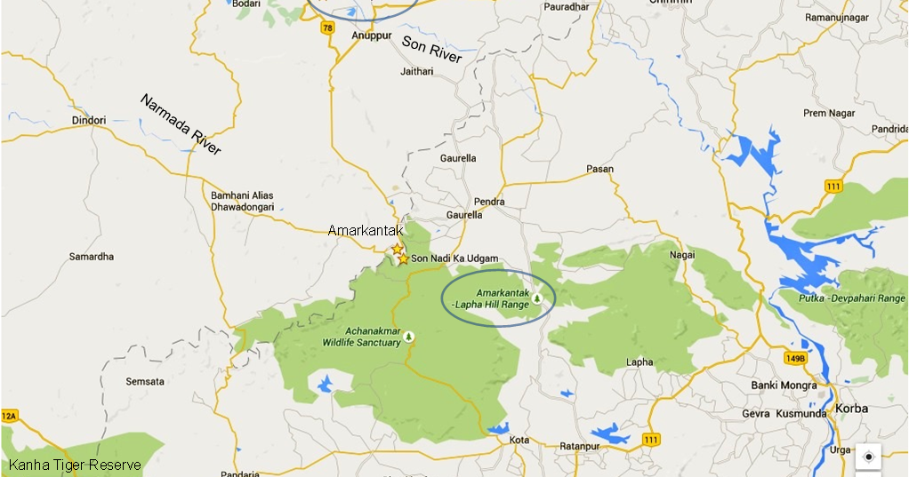 Amarkantak In Mp Map Yatra: Save Amarkantak & Narmada From Eucalyptus