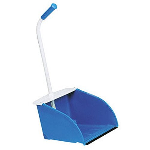 Brad's Tropical Paradise Mulching your desert garden