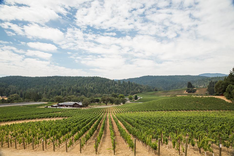 Organic Wines Uncorked August 2016