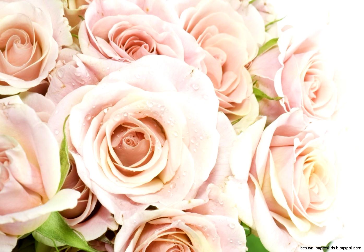 Can Customized Large 3D Mural Art Wallpaper Romantic Rose Flowers Can Customized Large 3D Mural Art Wallpaper Romantic Rose Flowers