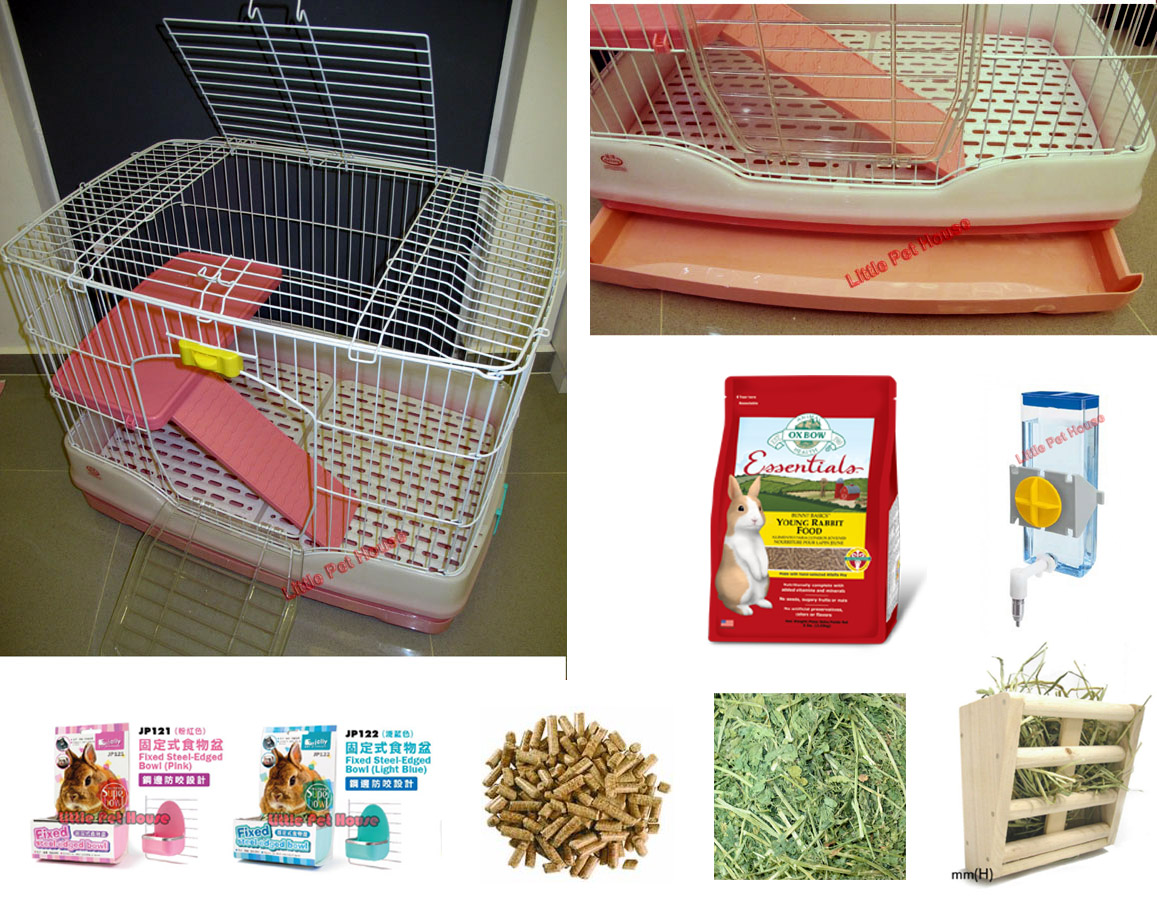 Little Pet House Your Budget Friendly Online Pet Shop in Singapore