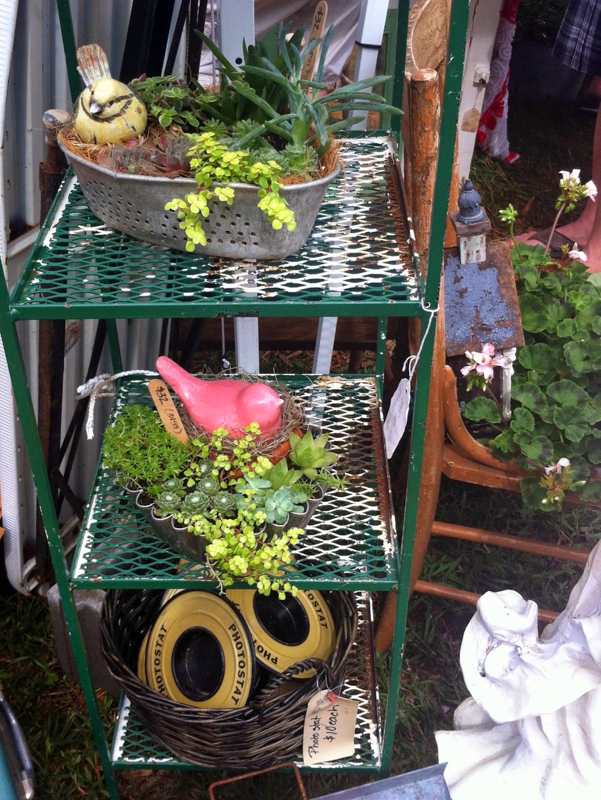 Just Another Hang Up A Picker's Paradise...