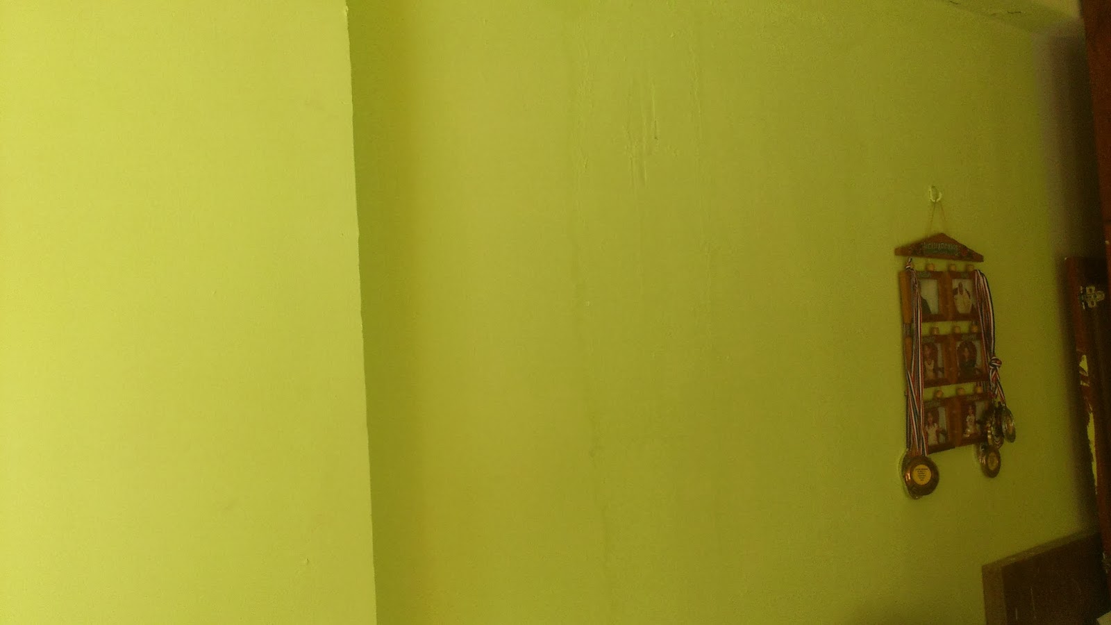 10+ Cat Hijau Terang Images