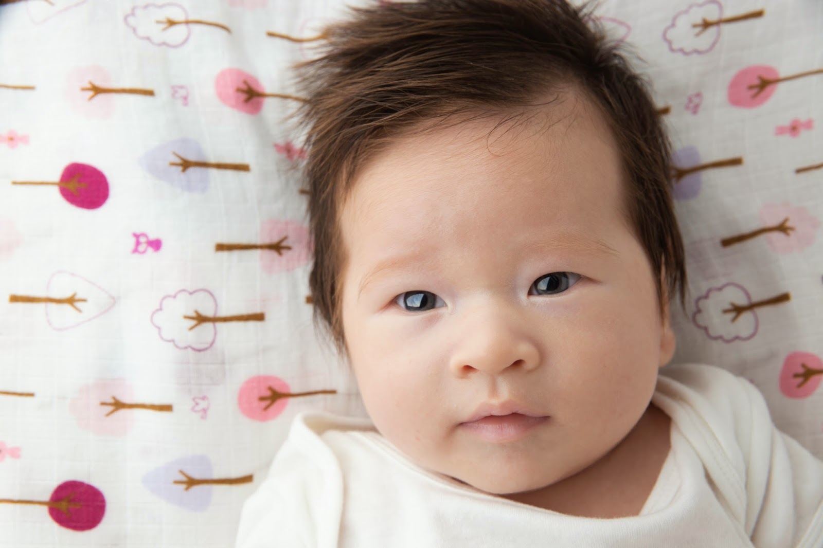 Galeri Gambar Bayi Ganteng Dan Lucu Asal Korea Yang Bikin Kamu