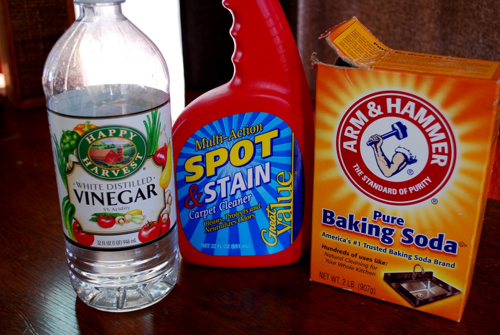 Homemade Dishwasher Rinse Agent & Carpet Spot Cleaner