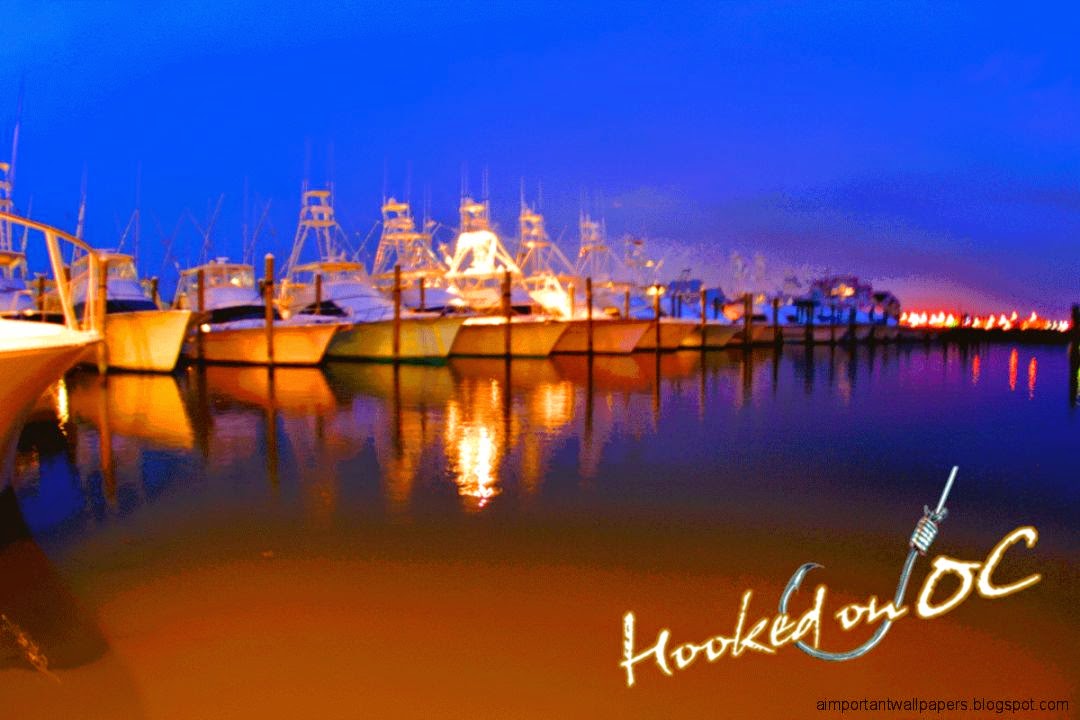 Hooked On OC Hooked On OC