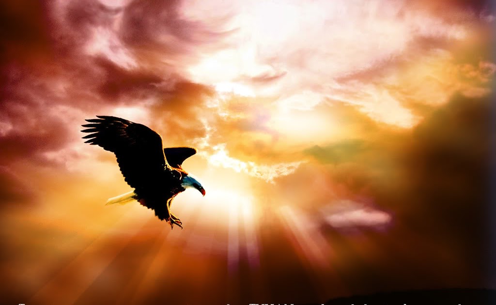 Rajawali - Kristiani Wallpaper ~ WALLPAPER KRISTIANI