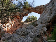 Del blog "La Naturaleza que nos queda" Gracias Javier.