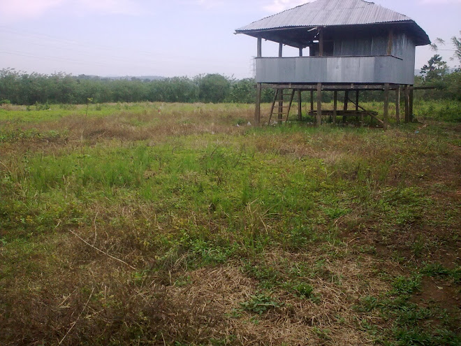 LOKASI KAPLING PERTANIAN