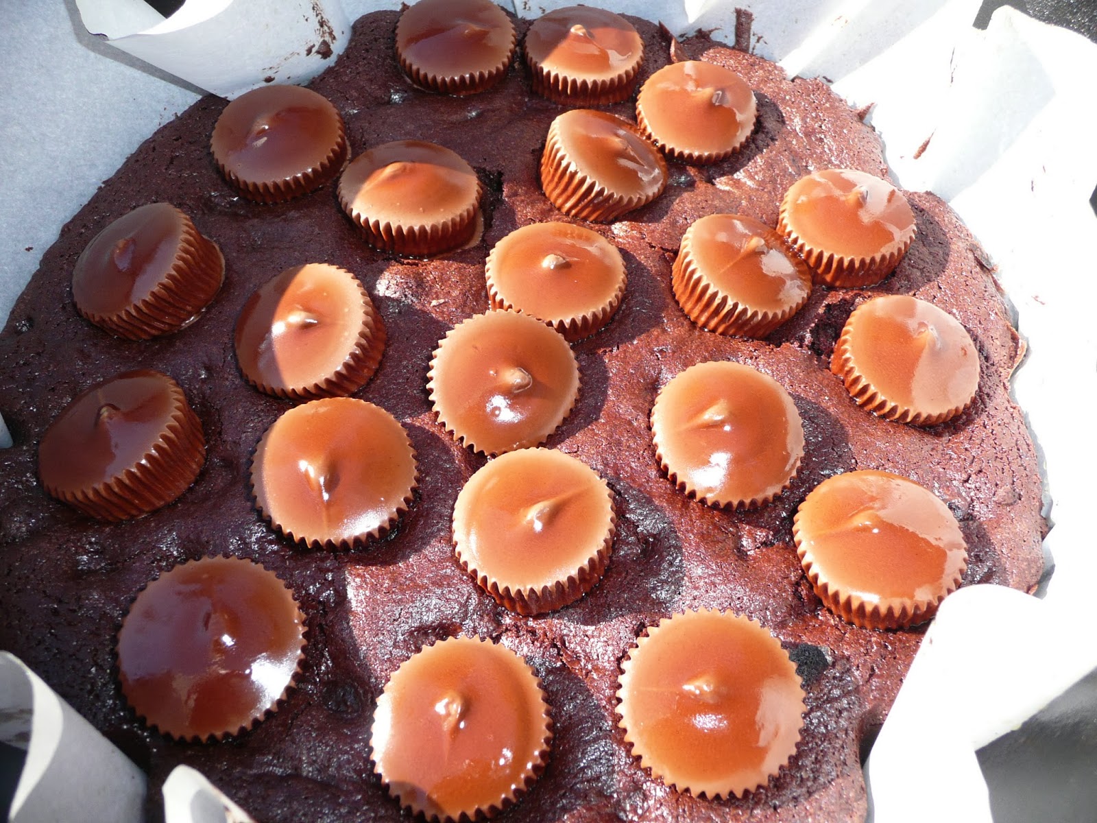 Everyday Dutch Oven: Peanut Butter Brownies