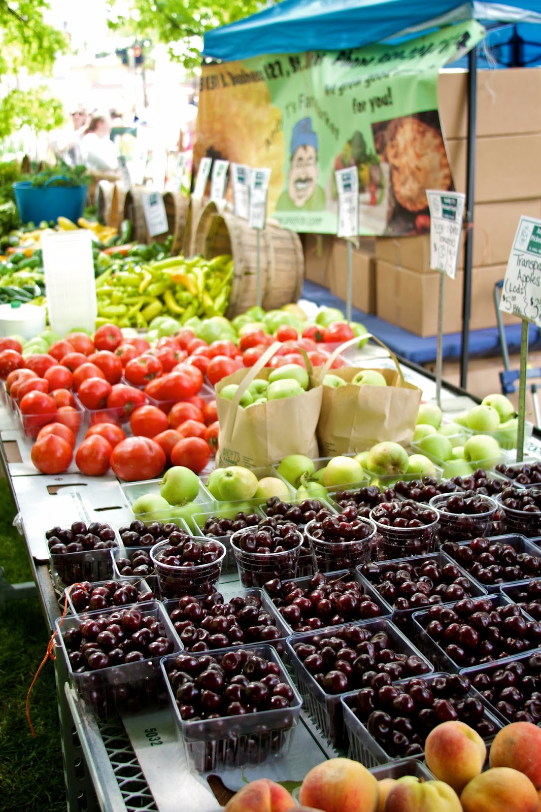2014 Michigan Farmers Market at the Capitol