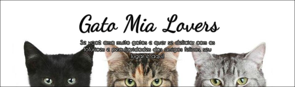 Gato Mia Lovers