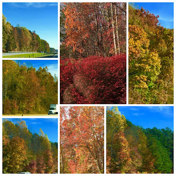 The colors during our travels.