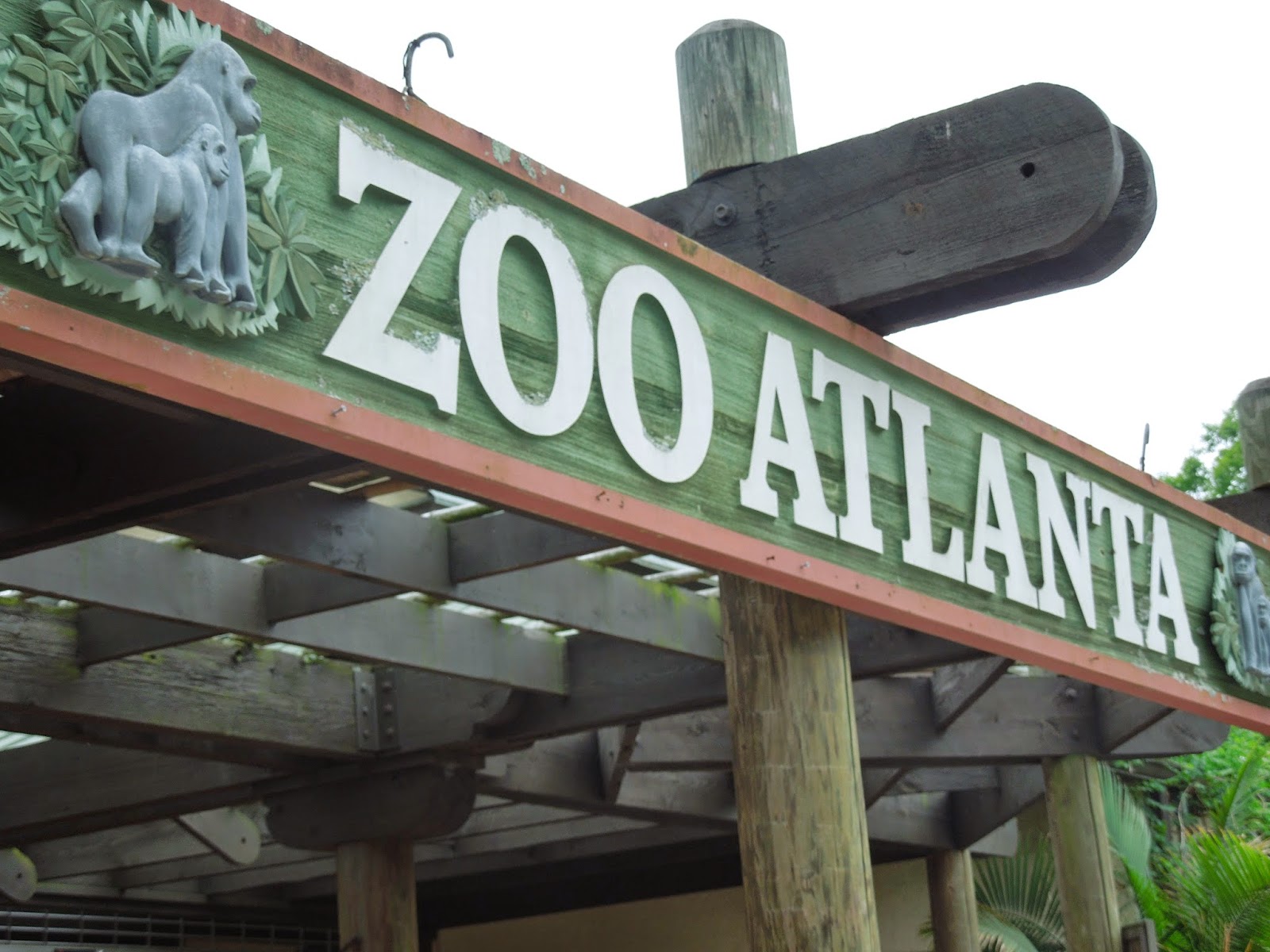 Taste and See God's Goodness: Zoo Atlanta field trip