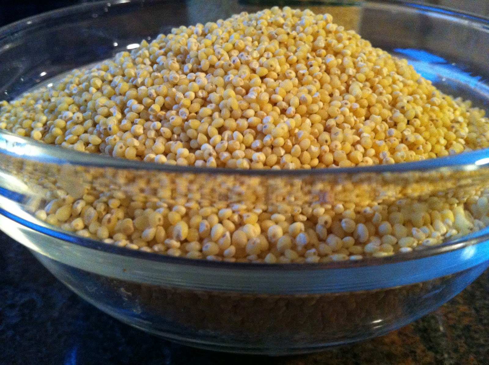 Millet the Egyptian's choice the better bites girl