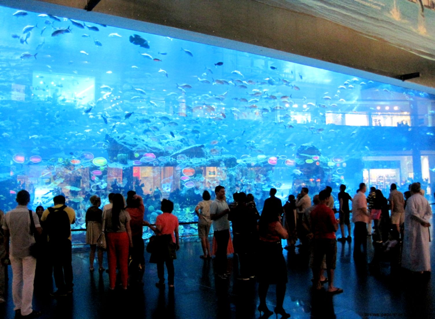 Dubai Mall Dubai Mall