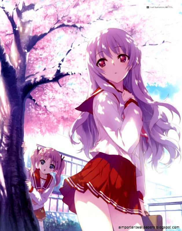 Sakura Tree Girls Anime Photo by Starling4anime  Photobucket Sakura Tree Girls Anime Photo by Starling4anime  Photobucket
