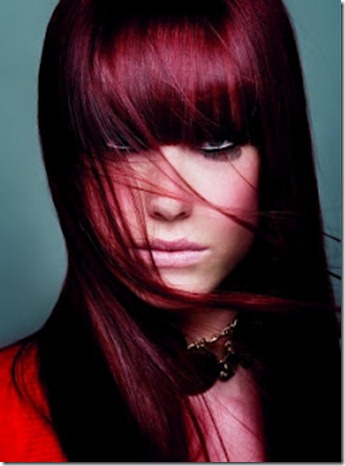 Hairstyle Trends 2013