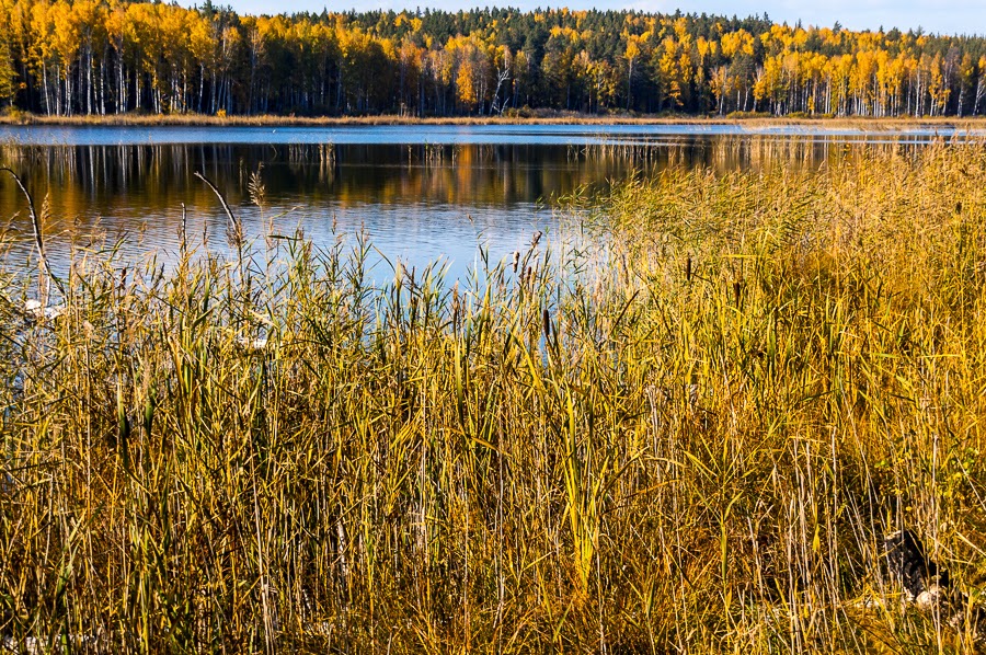 Озеро Безрыбное