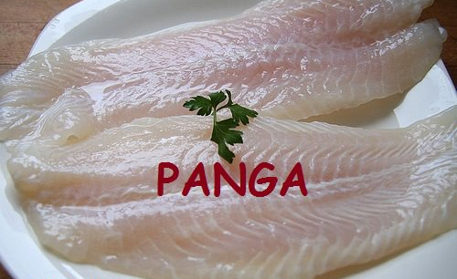Panga Pescado