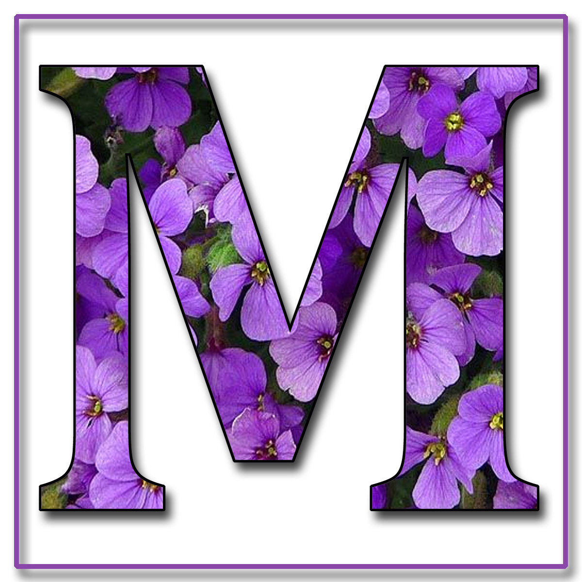 http://3.bp.blogspot.com/-RYGwneV7f1U/TjqnRmWDvRI/AAAAAAAAA7c/98_Hguc5Xp8/s1600/Capital+Letter+M+Free+Scrapbook+Alphabet+Purple+Flowers.jpg