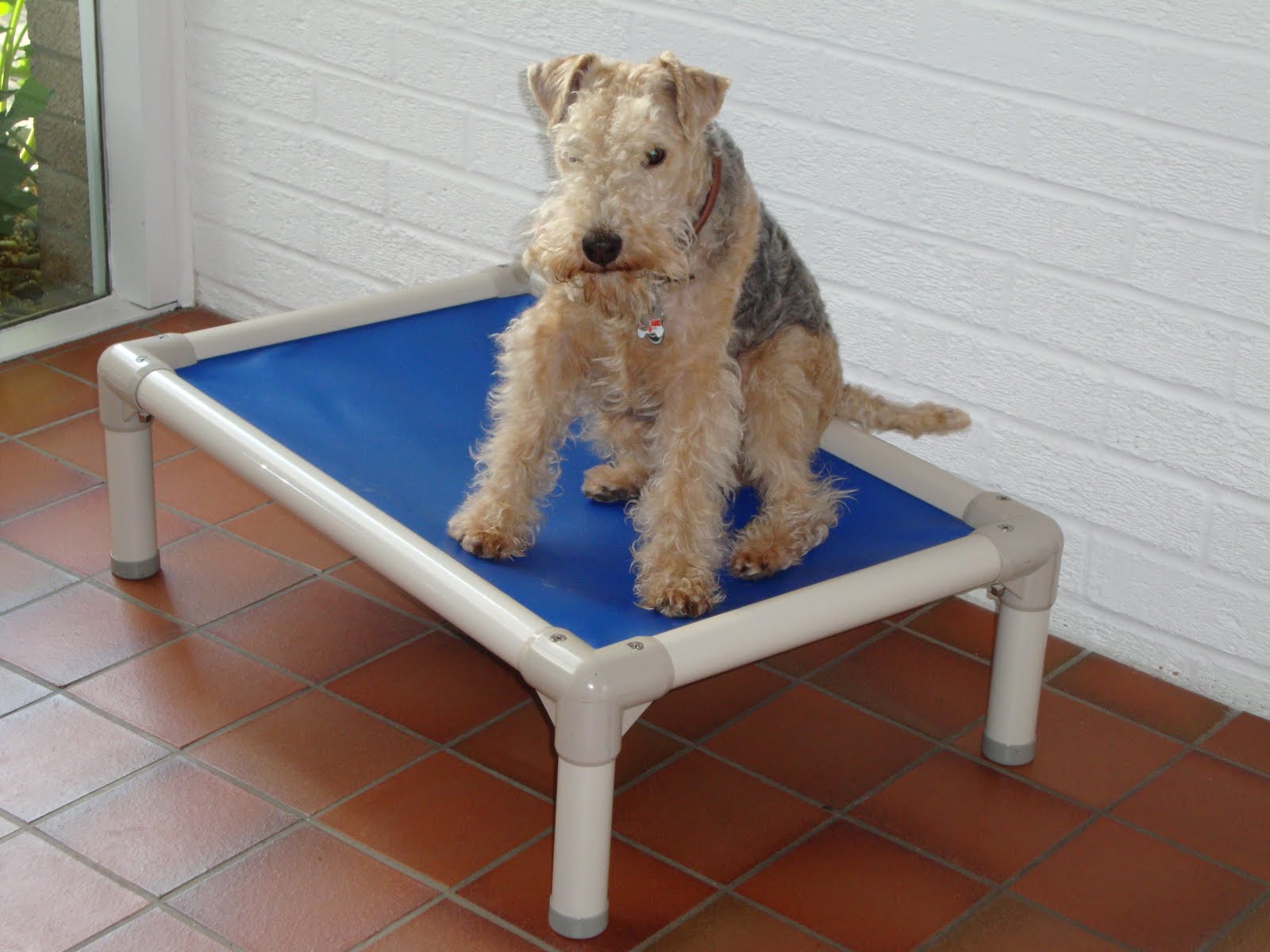 KURANDA DOG BEDS I love my Kuranda Dog Bed!