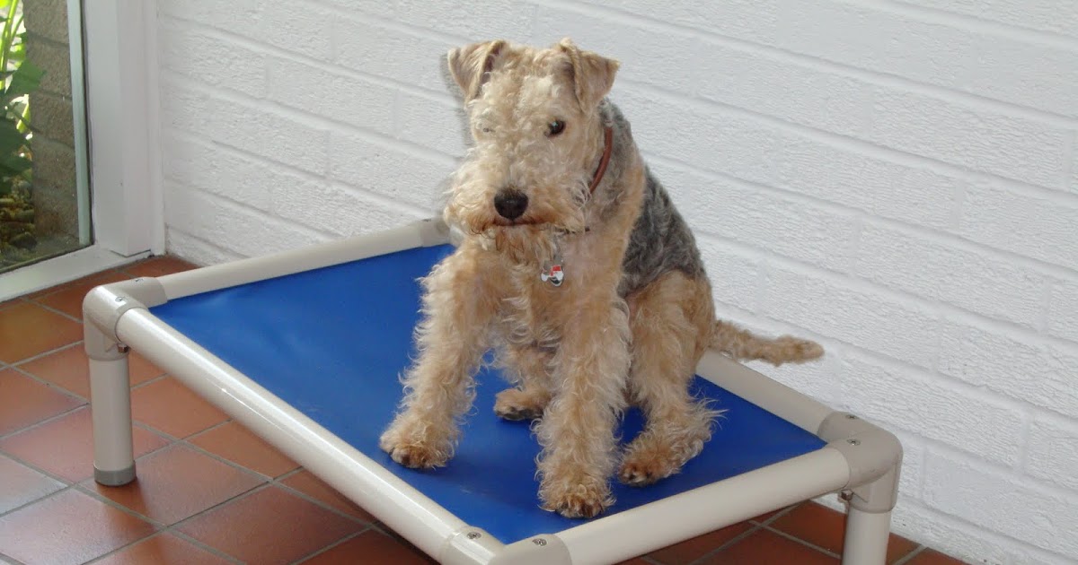 KURANDA DOG BEDS I love my Kuranda Dog Bed!