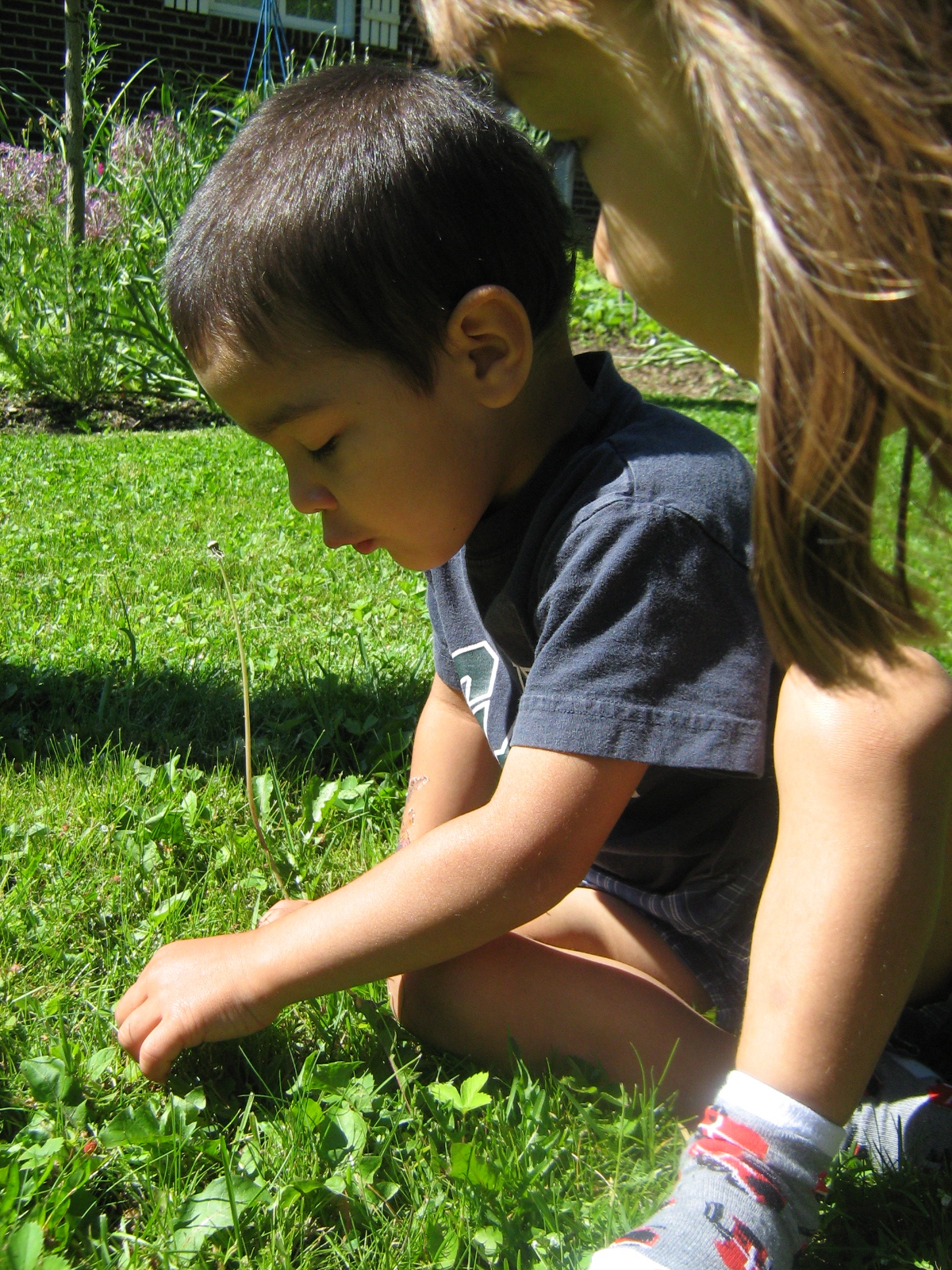 Le Petit Bouquet De Fleurs Des Champs Lifestyle Yellow Cat