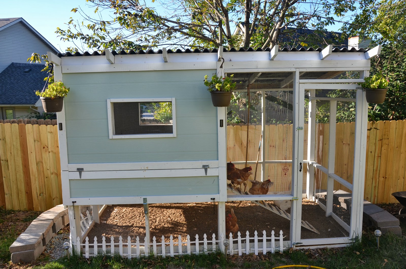 The Hesitant Artist Chicken Coop Details.