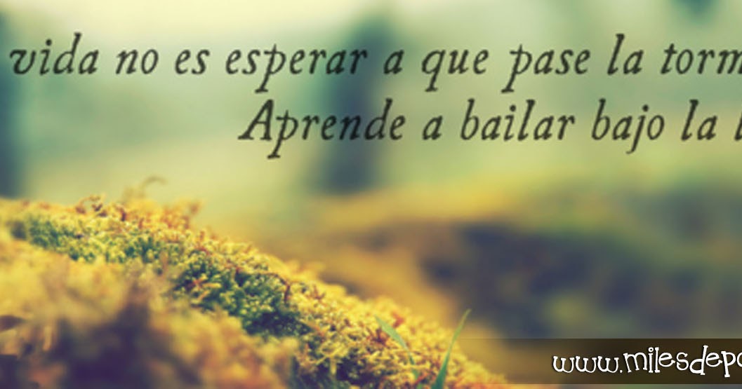 Descargar Frases Motivadoras De Amor Zeno News