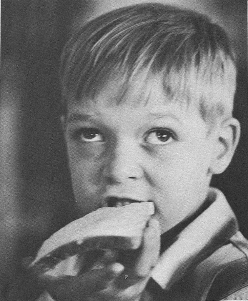 James lincoln collier anxiety essay 04 image