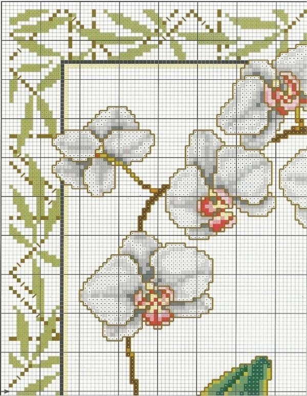 Cantinho da Anne Gráficos de Ponto Cruz: Quadro Orquídea Branca