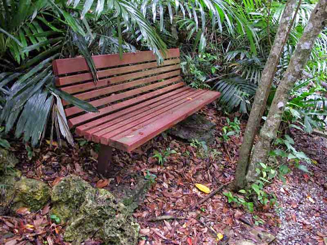 bench, wooded trail