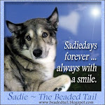Sadie - Forever in our hearts