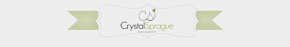Crystal Sprague Photography