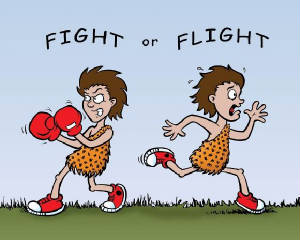 Natural Selection Fight Or Flight Natural Selection Fight Or Flight