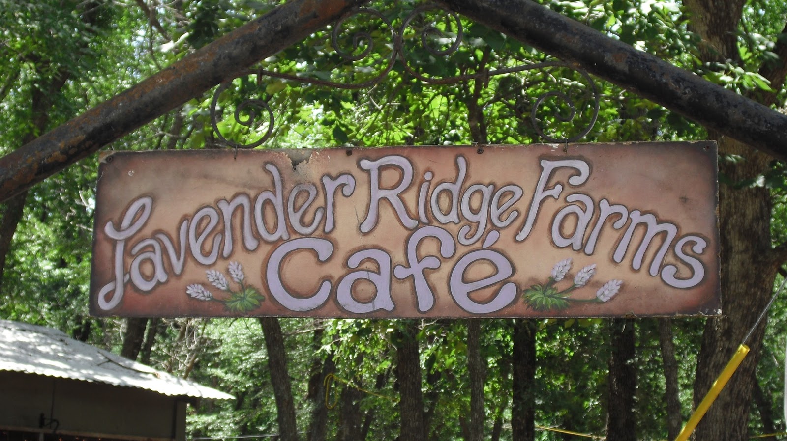 Cozy in Texas Lavender Ridge Farms