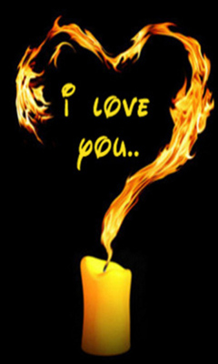 Animal Mobile Wallpapers