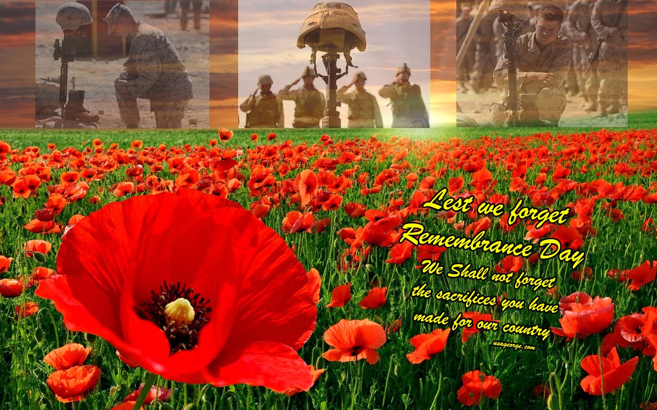 remembrance poppy wallpaper remembrance poppy wallpaper