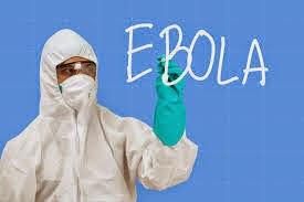 Δεν υπάρχουν στοιχεία στην Ευρωπαϊκή Ένωση για την μετάδοση του ιού Ebola μέσω της τροφικής αλυσίδας