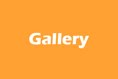ECVR Gallery - visualizza