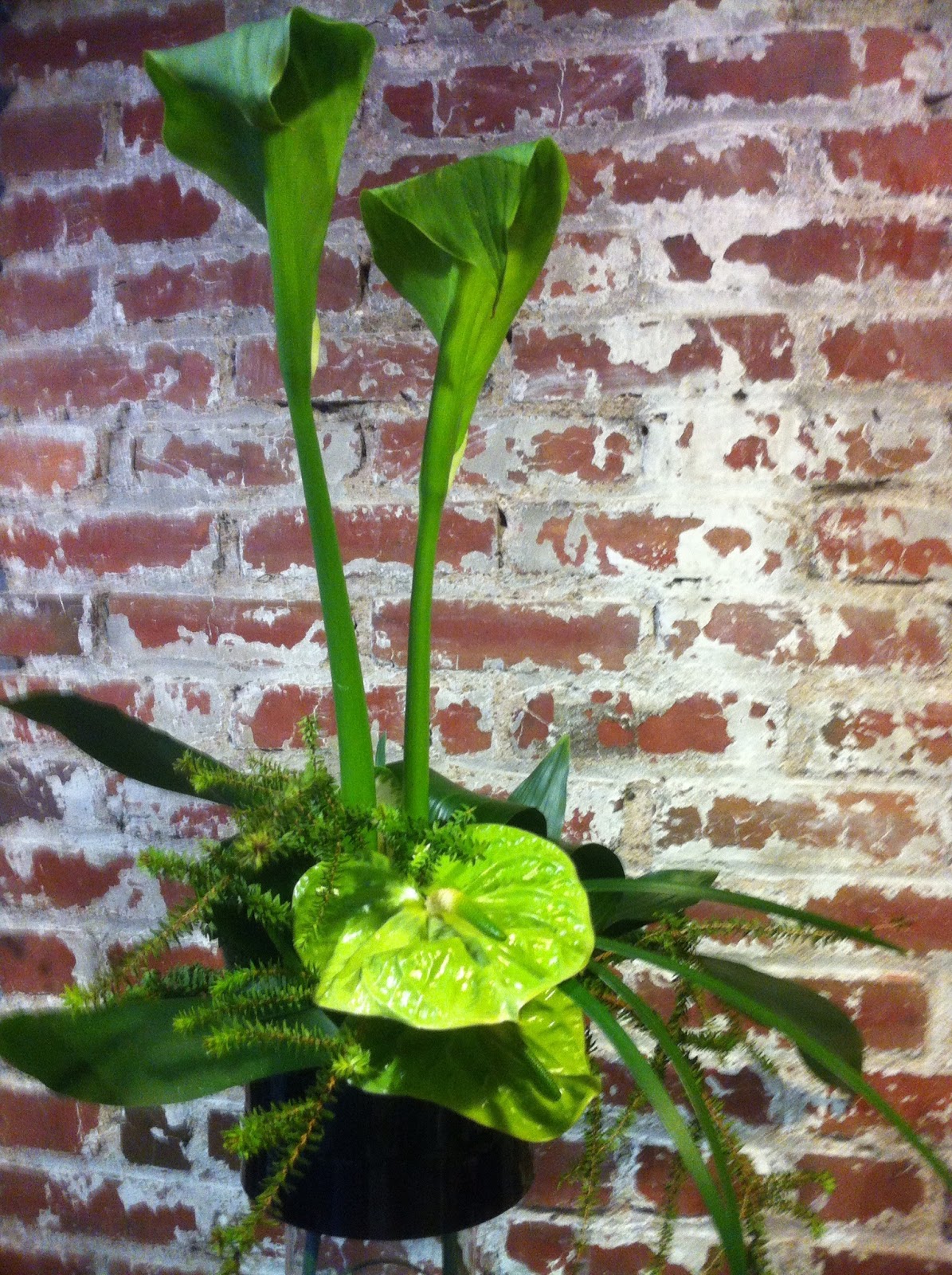 flower classroom 3 Day Advanced Floral Design Class Photos