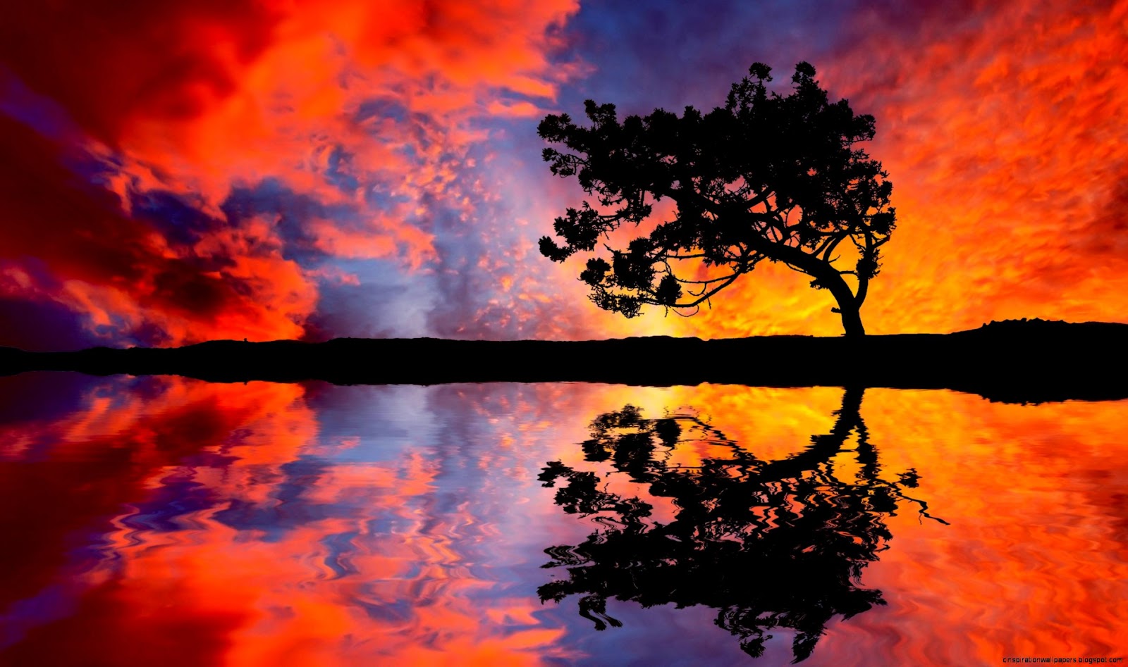 Sunset Tree Reflection Sunset Tree Reflection