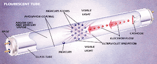Inside a Fluorescent Light 