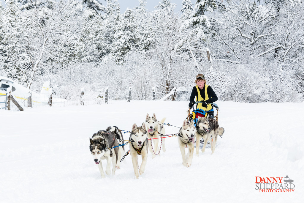 Marmora SnoFest Dogsled Races Marmora SnoFest Dogsled Races