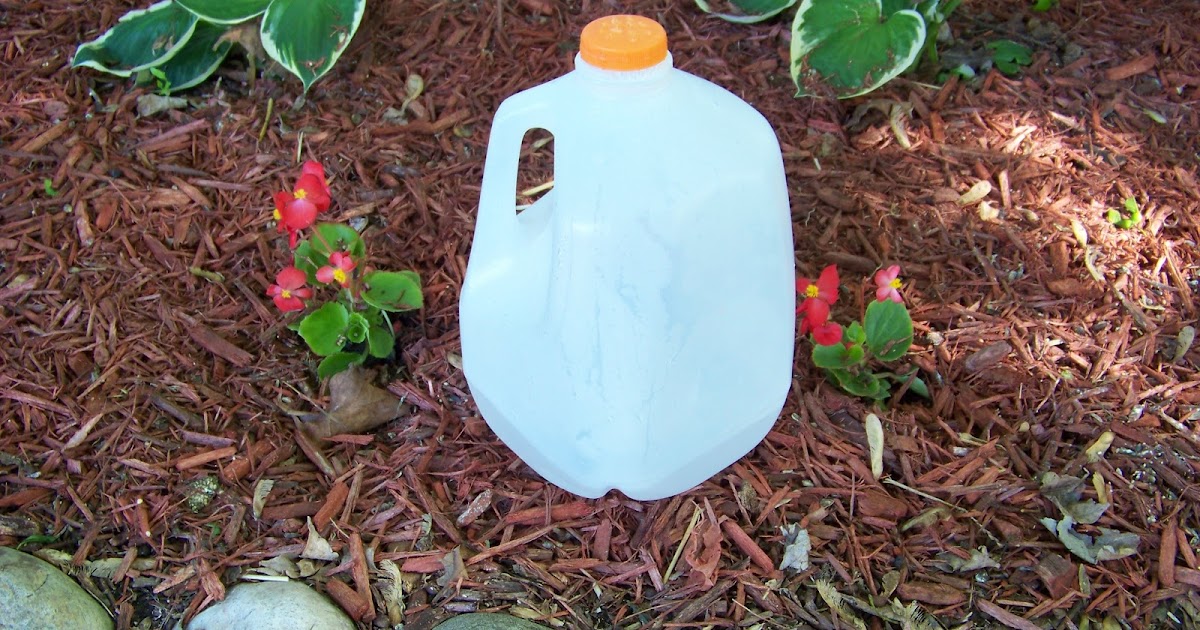 MAD Family Fun DIY Recycled Water Can