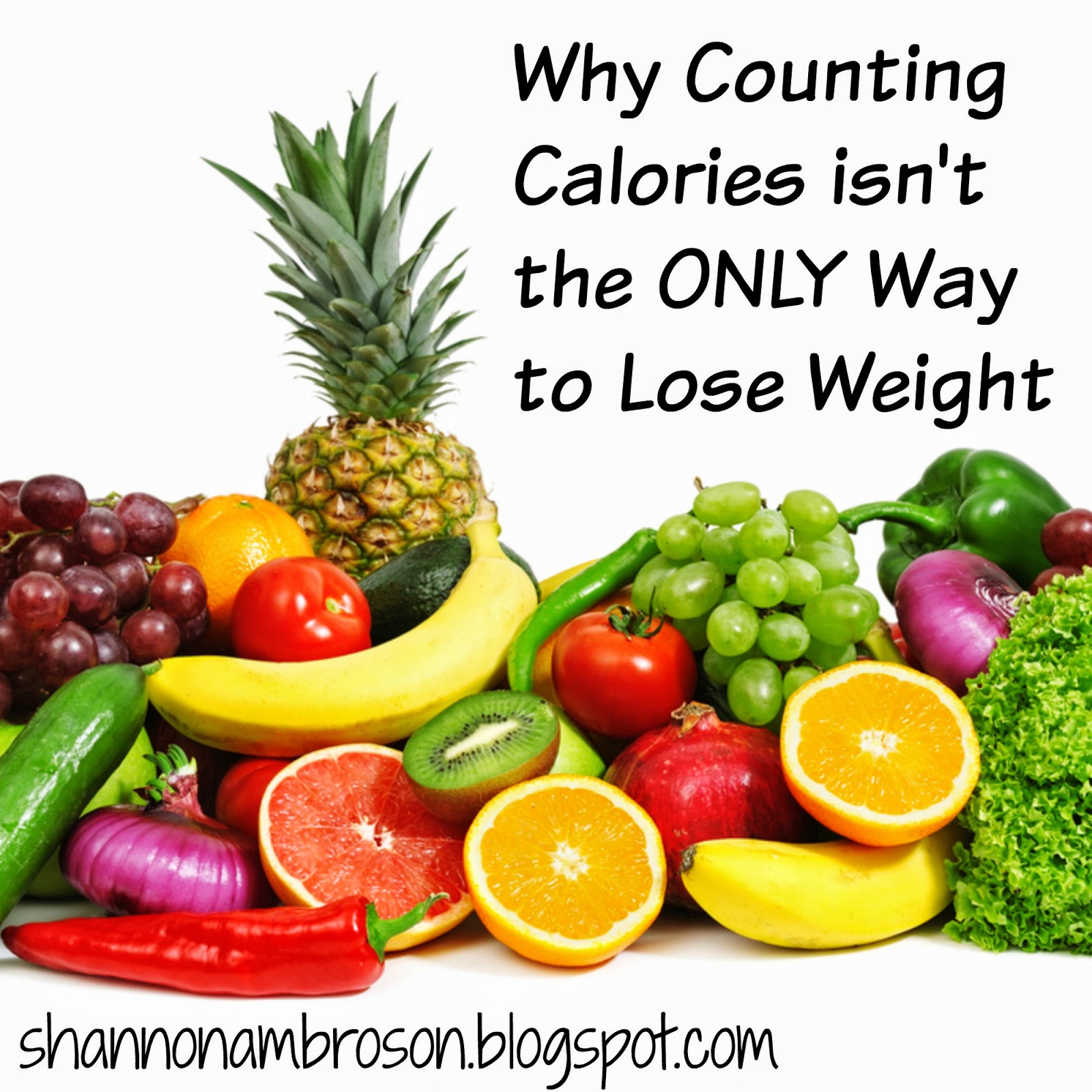 calories counter to lose weight calories counter to lose weight