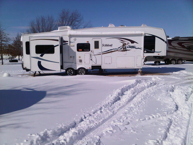 Cathouse in the Snow